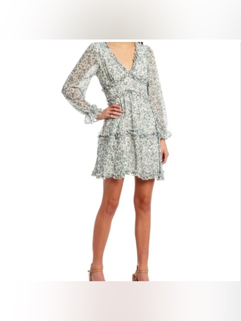 Trixxi Light Blue Floral Sheer Ruffle V‑Neck Mini Dress